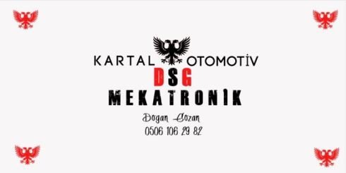 dsg mekatronik